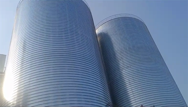 鄂托克2座混凝土高架卷板仓